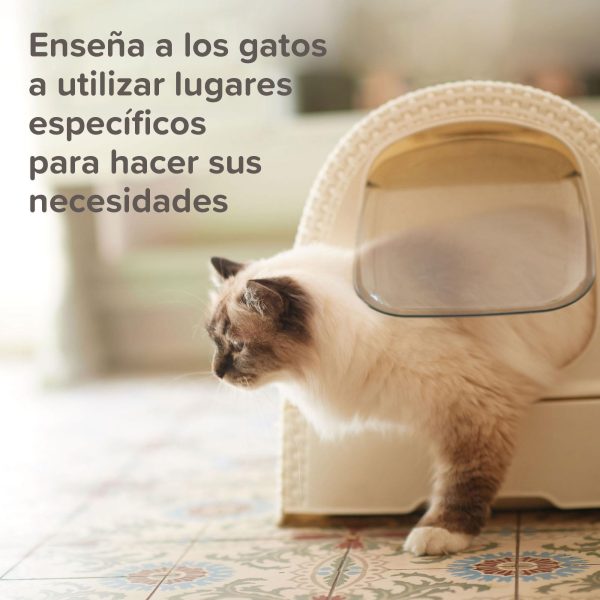 Beaphar - Cat Trainer Educador para Gatos - Atrayente para Juguetes y Rascadores - Ideal para el adiestramiento - 10ml Embalaje Deteriorado Cheap